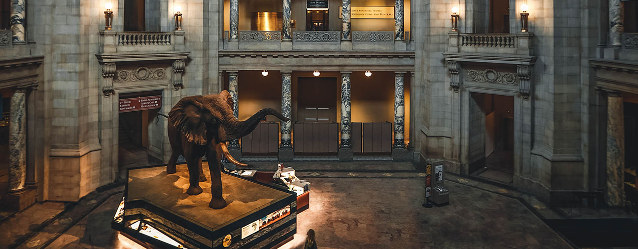 A museum hall interior