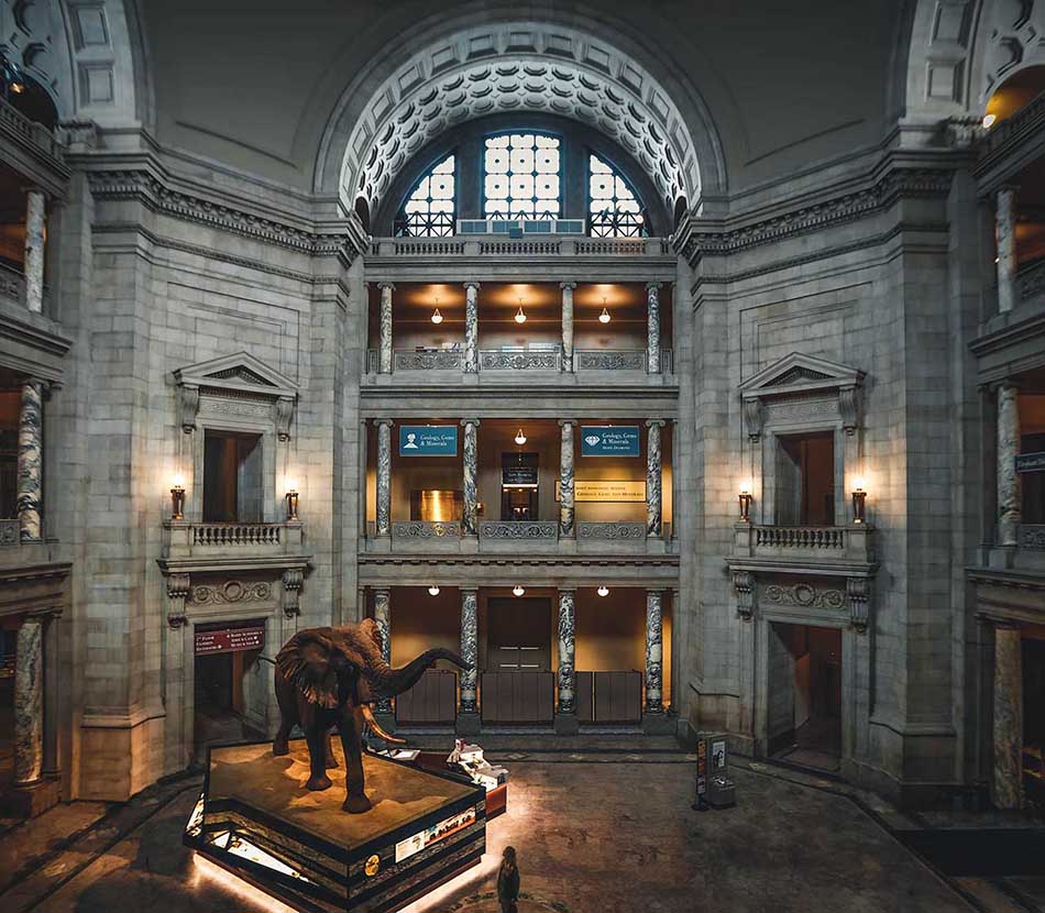 A museum hall interior