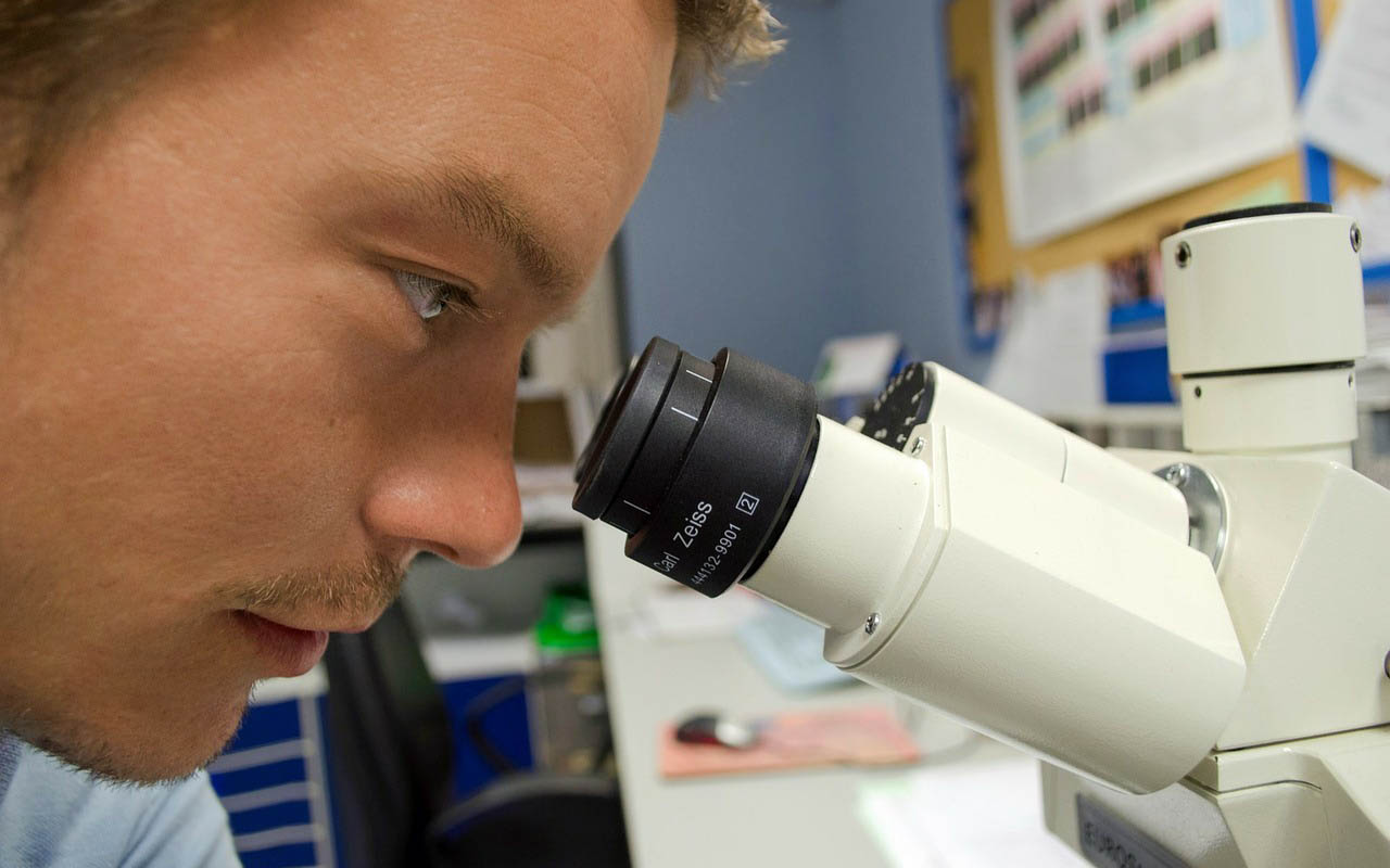 Researcher looking down microscope