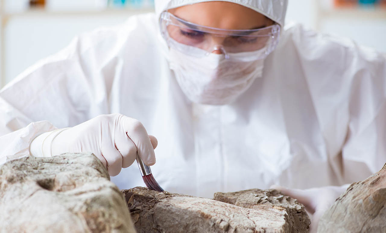 Scientist examining a sample